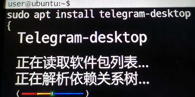 Linux终端界面输入Telegram安装命令的截图示例