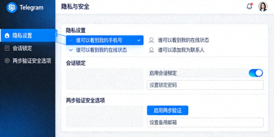 Telegram电脑版隐私设置页面详细选项截图，包括电话号码、最后上线时间等